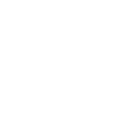 双重收益